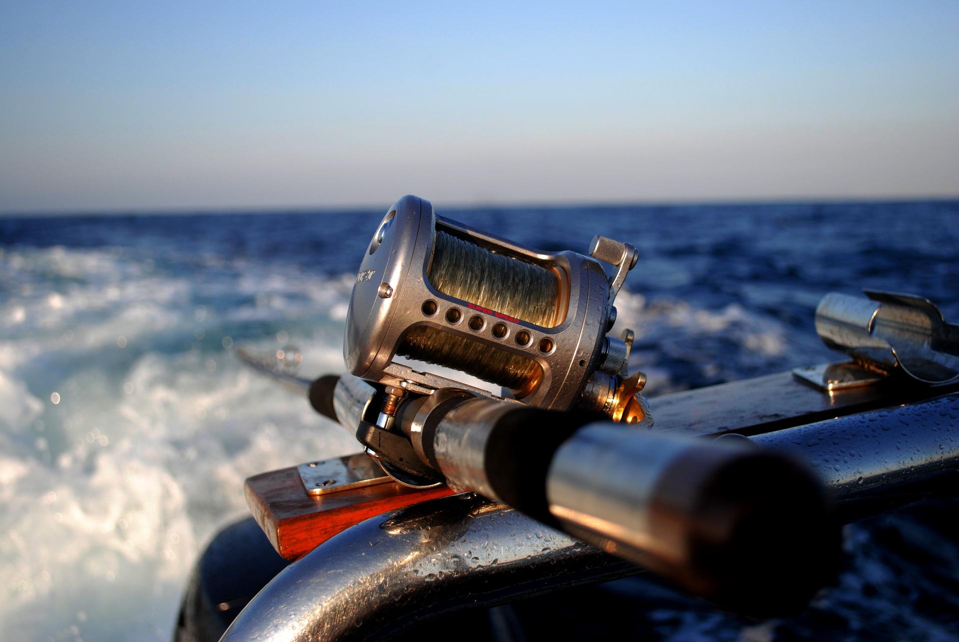 Expansive bay with marine life and islands for exploration.